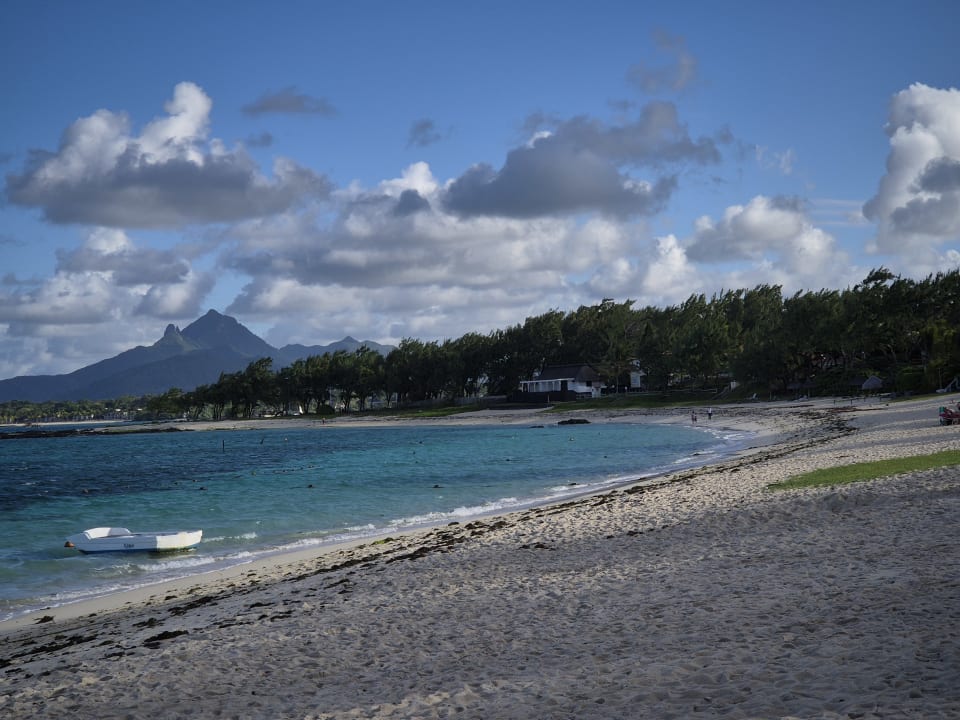 Strand Friday Attitude