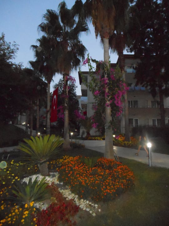 Schön Club Sidelya Hotel