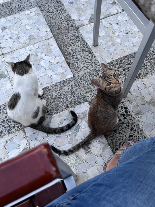 Sonstiges Pharaoh Azur Resort