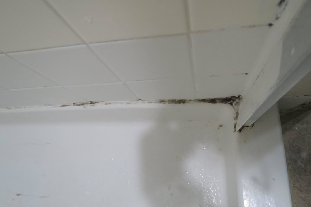 Dusche Delos Reyes Palm Springs