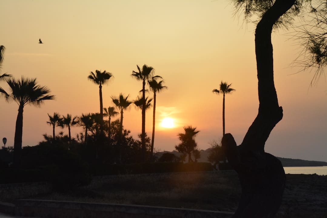 Strand allsun App.-Hotel Orient Beach