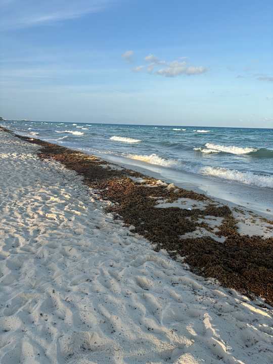 Strand Hotel Riu Playacar