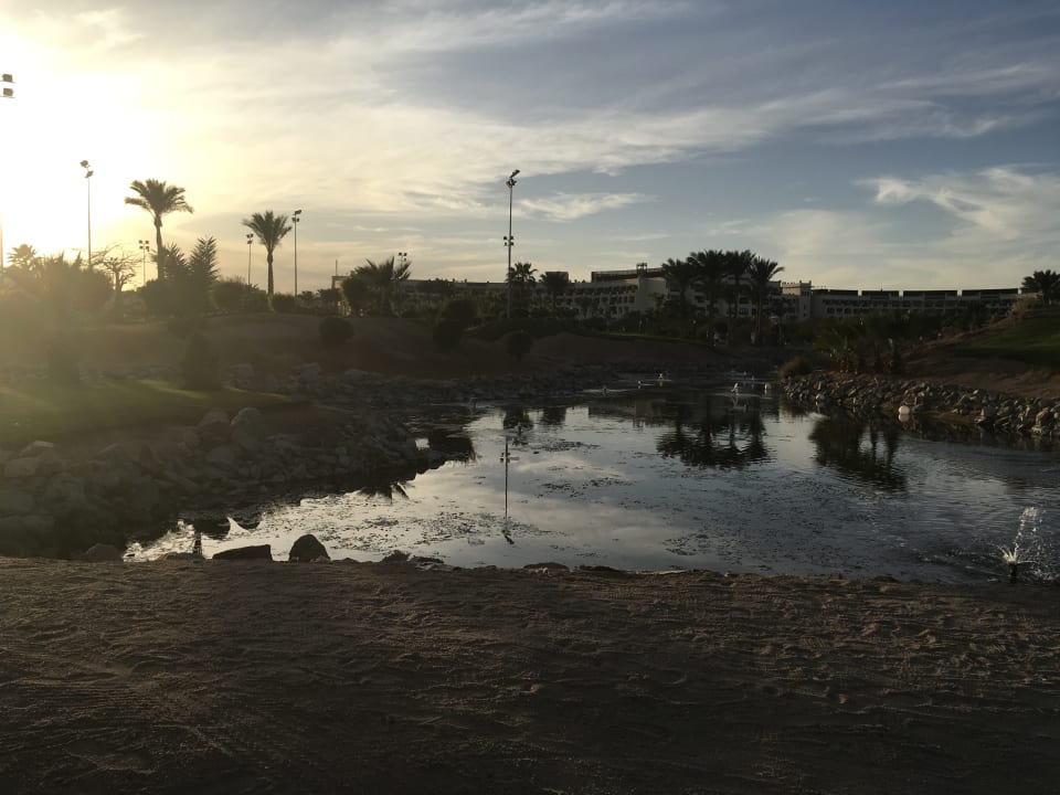 Strand Steigenberger Aqua Magic