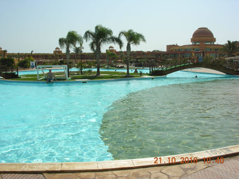 Palmy nad basenami Malikia Resort Abu Dabbab