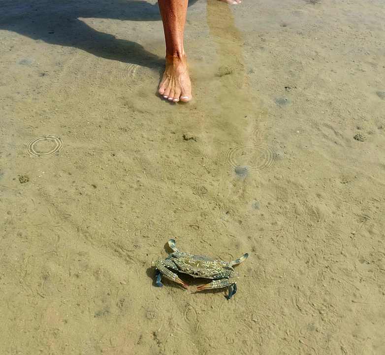 Strand Golden Beach Resort