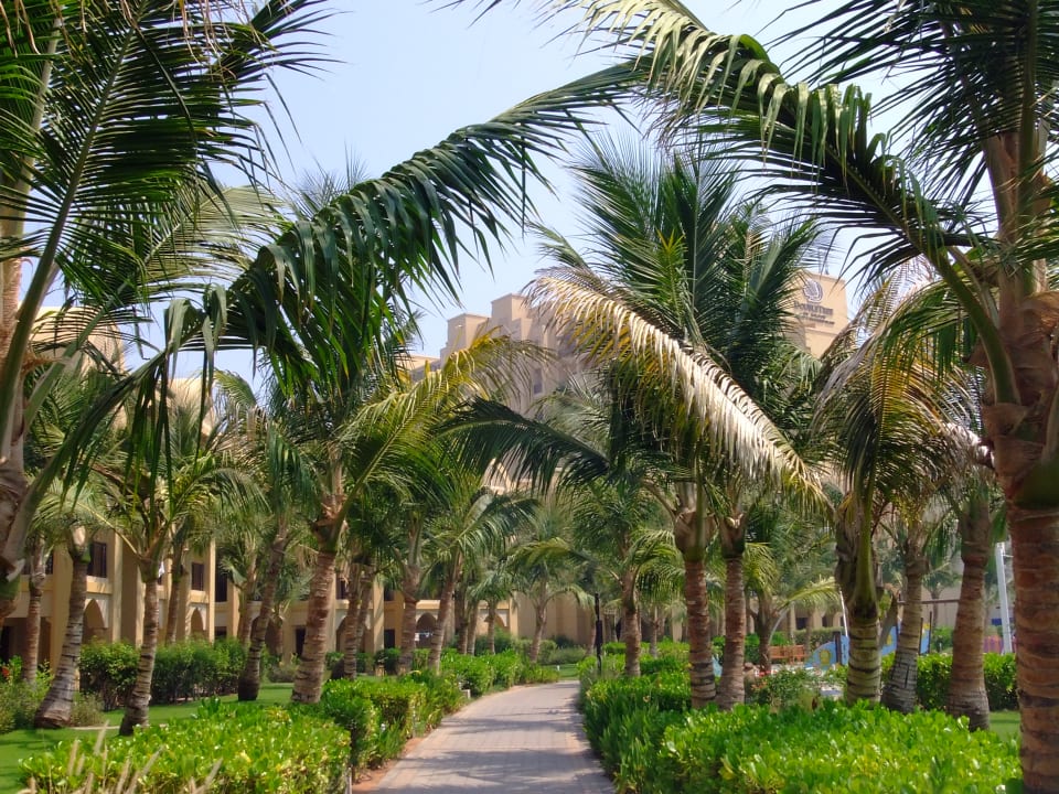 Gartenanlage DoubleTree by Hilton Resort & Spa Marjan Island