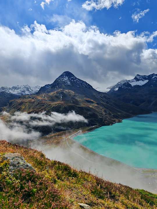Sonstiges Bergwiesenglück