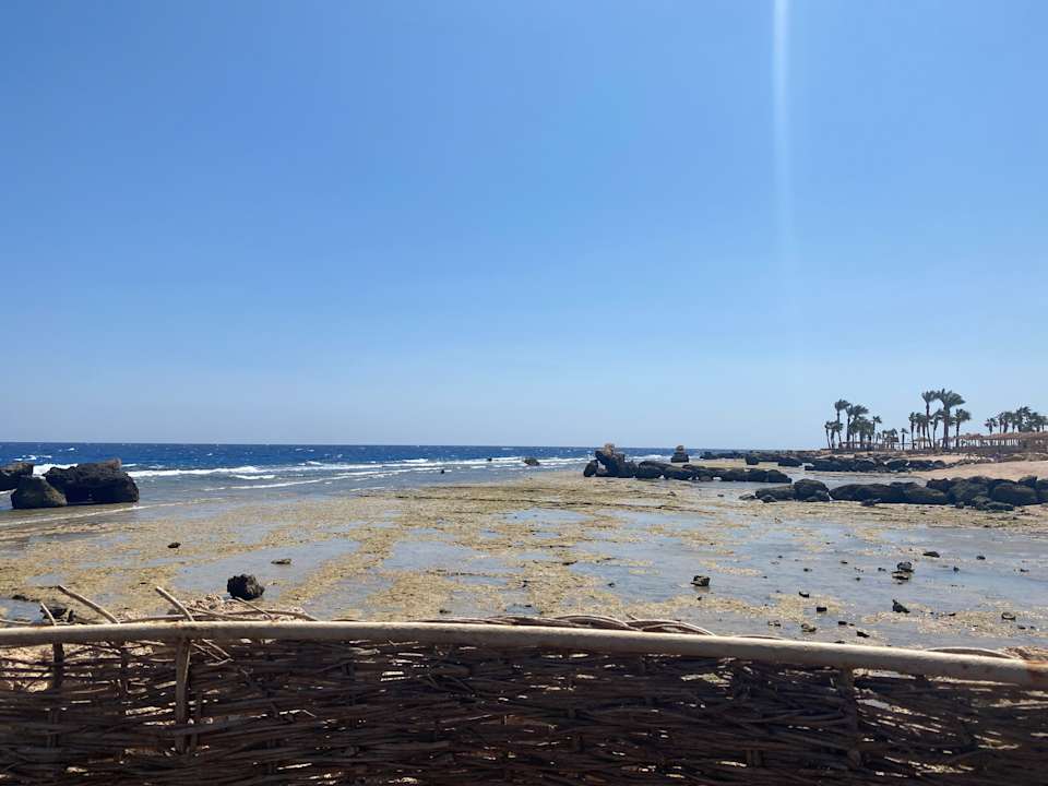 Sonstiges Pickalbatros Citadel Resort