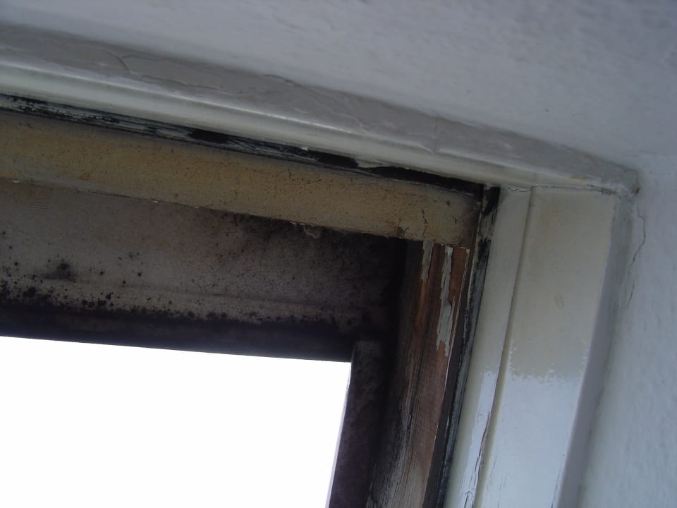 Schimmel am Fenster Zimmer 230 Der schöne Asten - Resort Winterberg