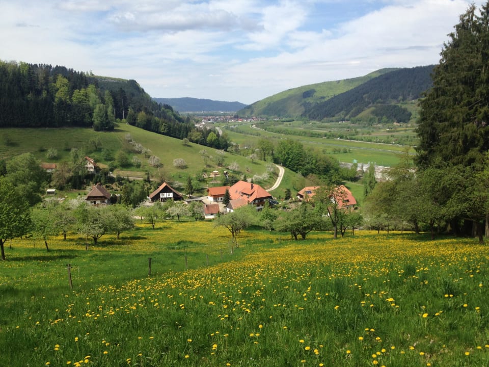 Blick auf den Hof Ferienhof Oberer Strickerhof