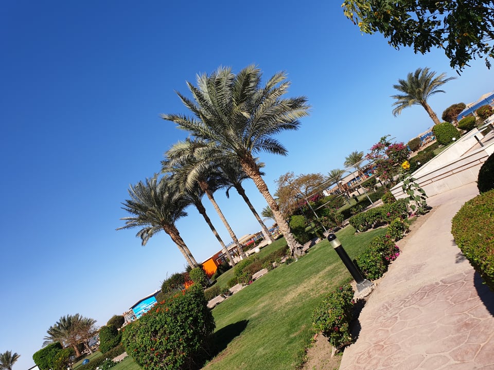 Garten Hurghada Long Beach Resort