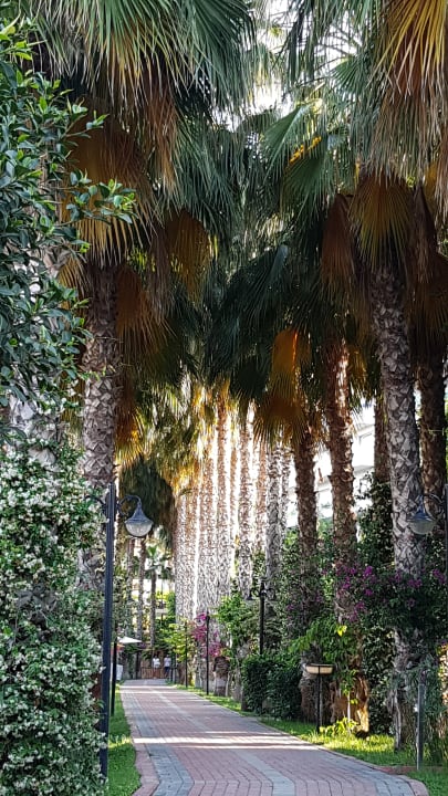 Gartenanlage Hotel Gardenia Beach
