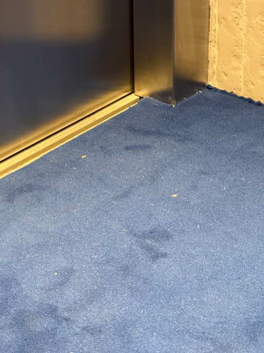 Lobby Amarello Hotel Praia Santo André, Tapestry Collection by Hilton