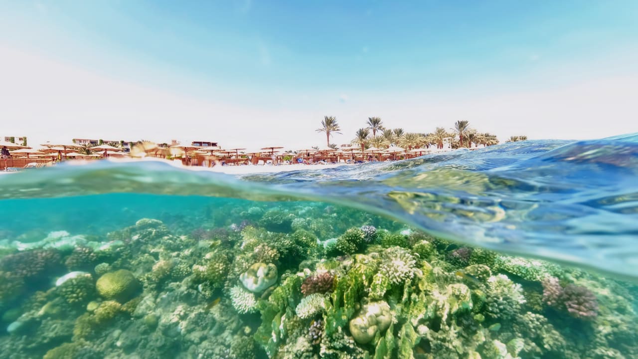 Strand Fort Arabesque Resort, Spa & Villas