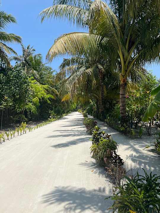 Gartenanlage Furaveri Maldives