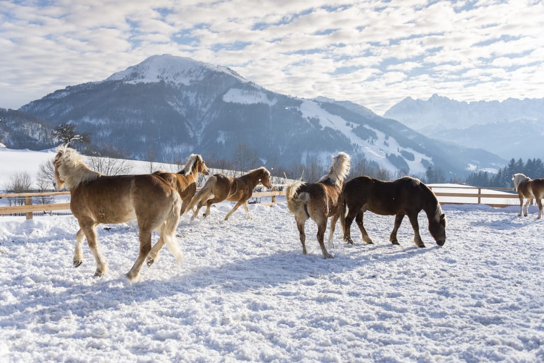 Sport & Freizeit Wohlfühlresort Peternhof