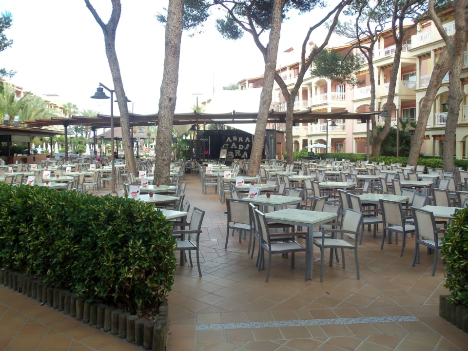 Mittagsbuffet  Zafiro Bahia