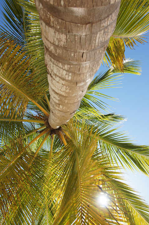 Einfach Schön Punta Cana Princess All Suites Resort & Spa