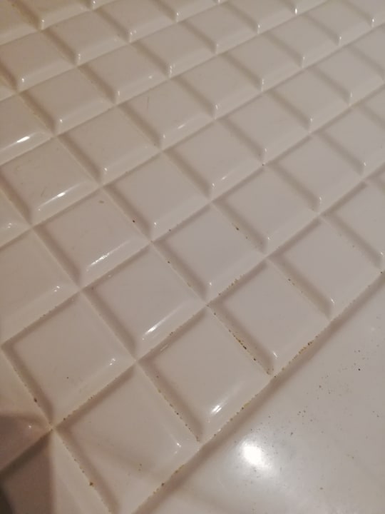 Zimmer Calimera Fido Gardens