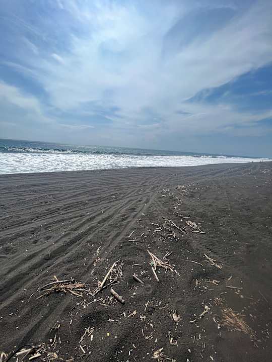 Strand Hotel Pez de Oro