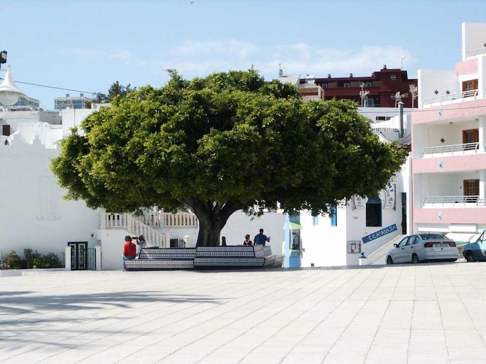 Promenade Melia La Palma Hotel