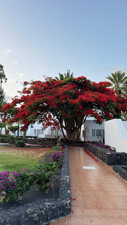 Außenansicht Hotel Riu Paraiso Lanzarote