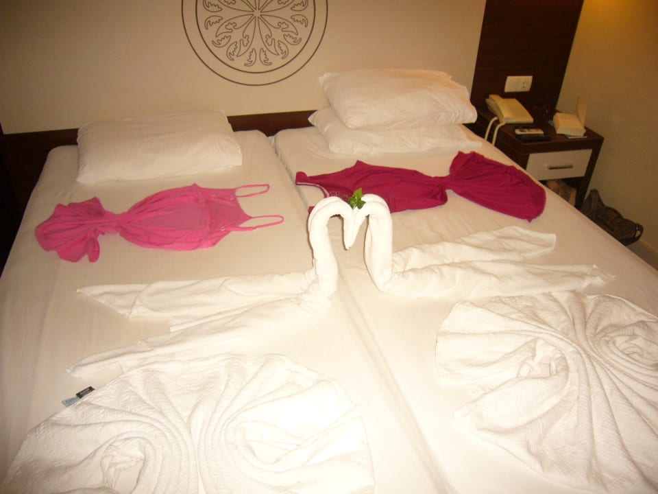 Jeden Tag eine neue Überraschung Side Alegria Hotel & Spa - Adults only +16