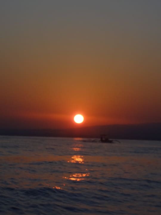 Delphinausflug vom Hotel Puri Bagus Lovina