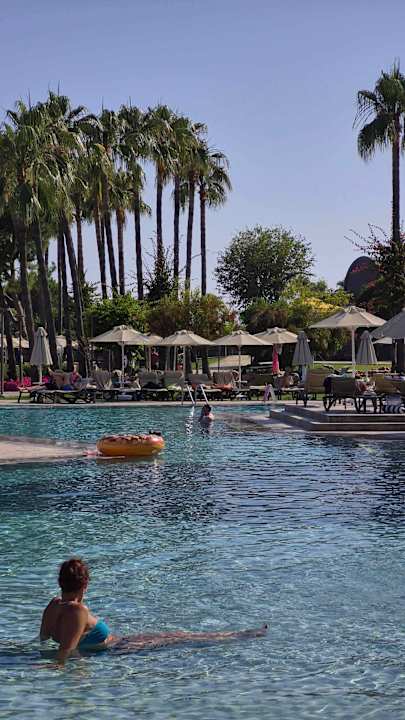 Pool Arum Barut Collection