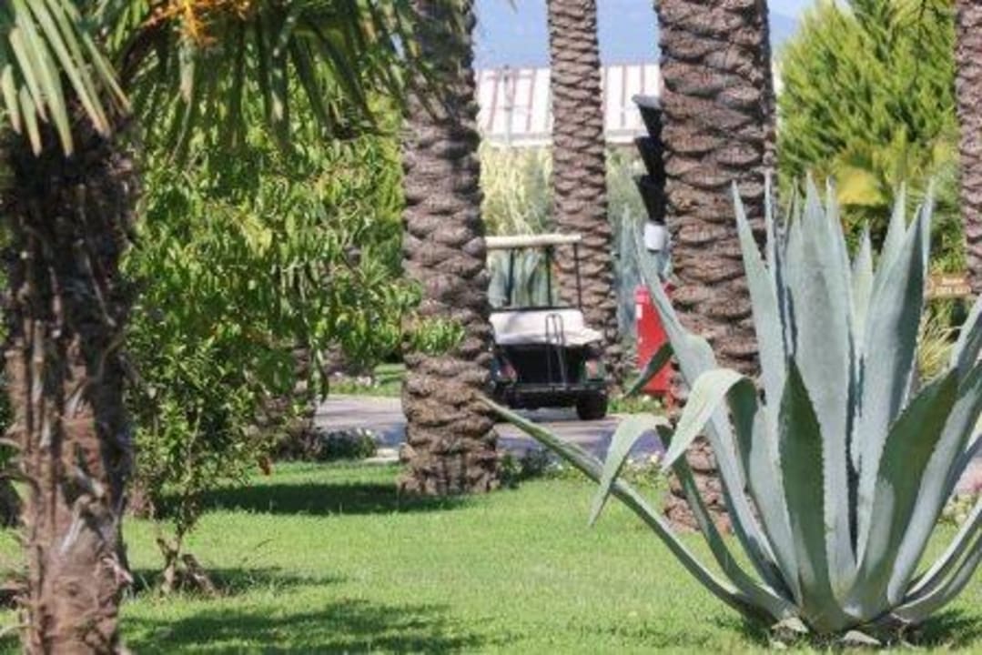 Hotel Iberotel Palm Garden TUI BLUE Palm Garden