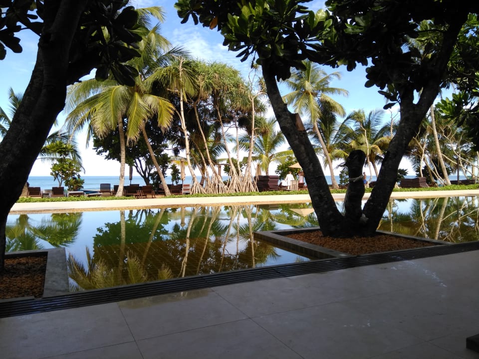 Gartenanlage Pandanus Beach Resort & Spa
