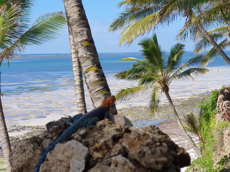 Strand Bahari Beach Hotel