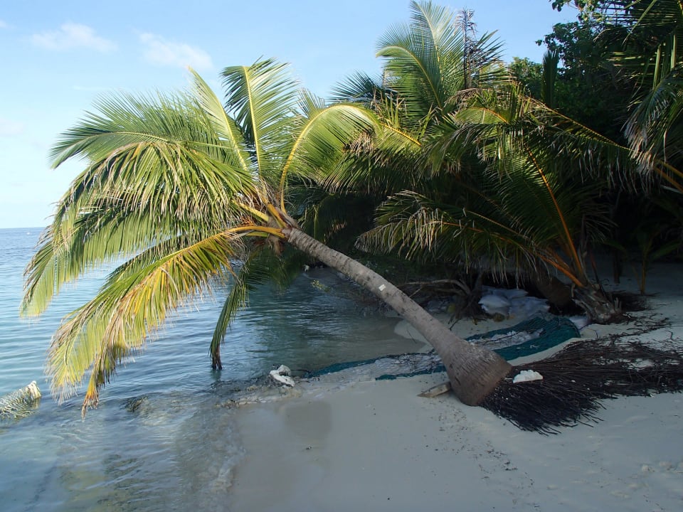 Palme Adaaran Club Rannalhi - All Inclusive