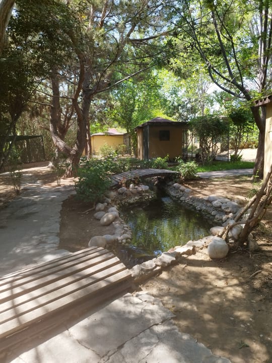 Gartenanlage Alba Resort Hotel