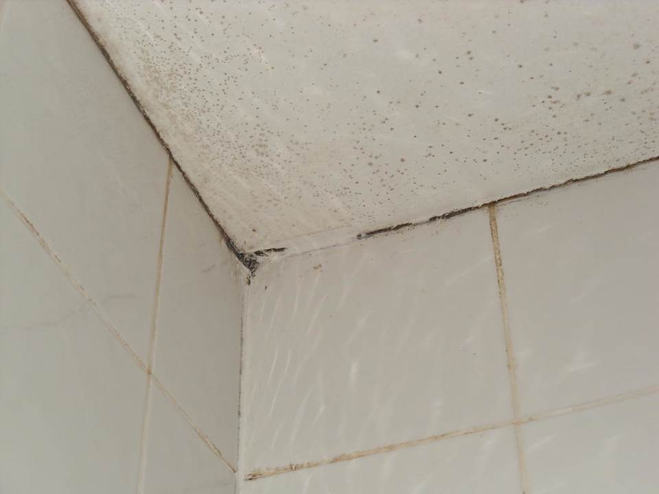 Schimmel an der Decke Hotel Euro Lodge Clapham