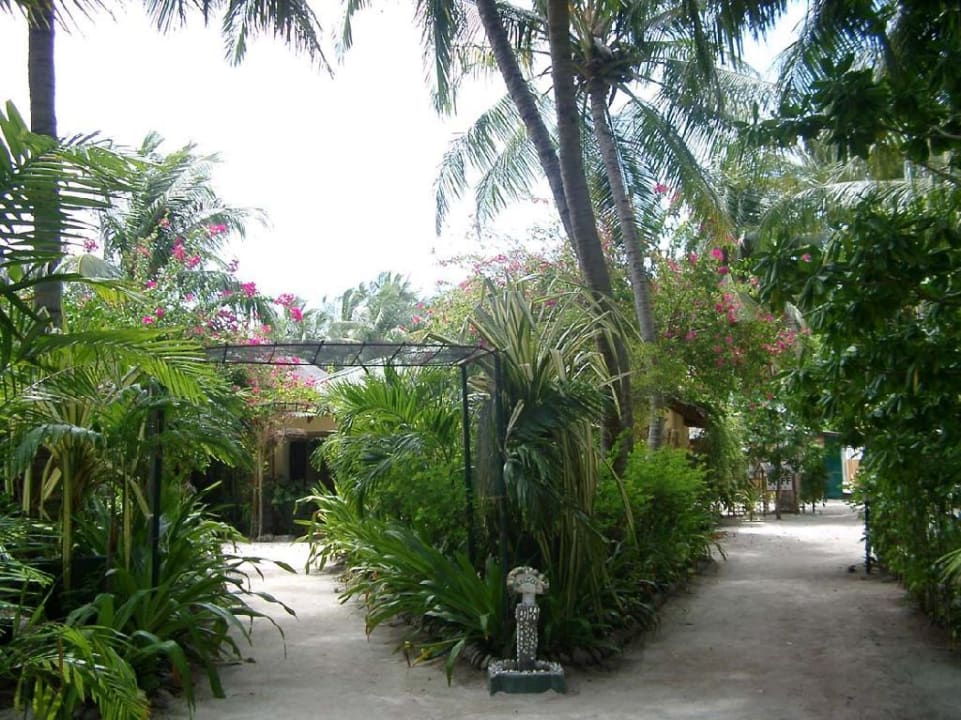 Garten Summer Island Maldives