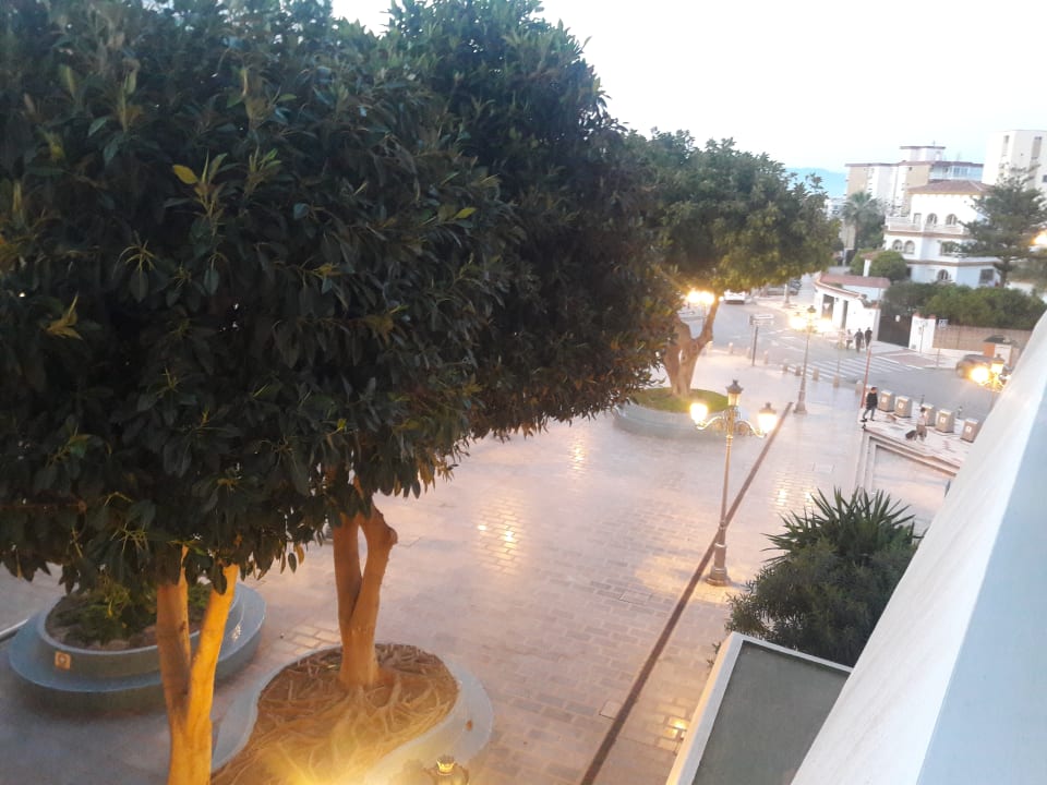 Ausblick BLUESEA Gran Cervantes