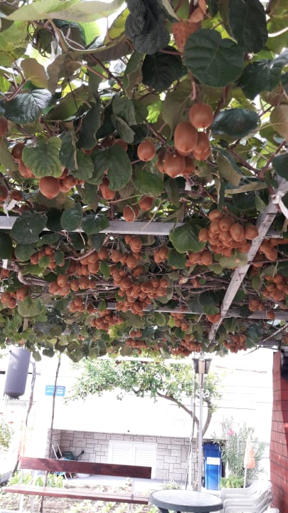 Sonstiges Hotel Plaza Duce