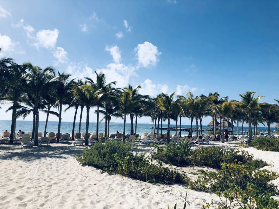 Strand Hotel Riu Dunamar