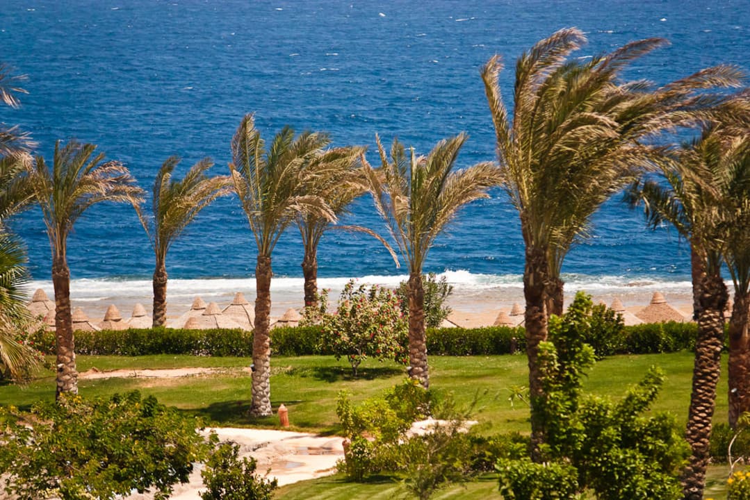 Вид из номера Serenity Alpha Beach