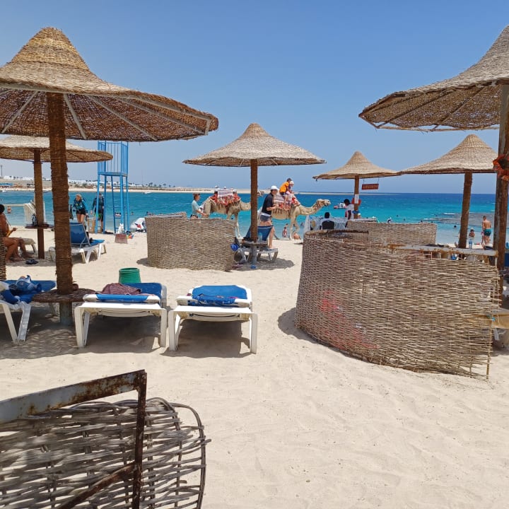 Strand Malikia Resort Abu Dabbab