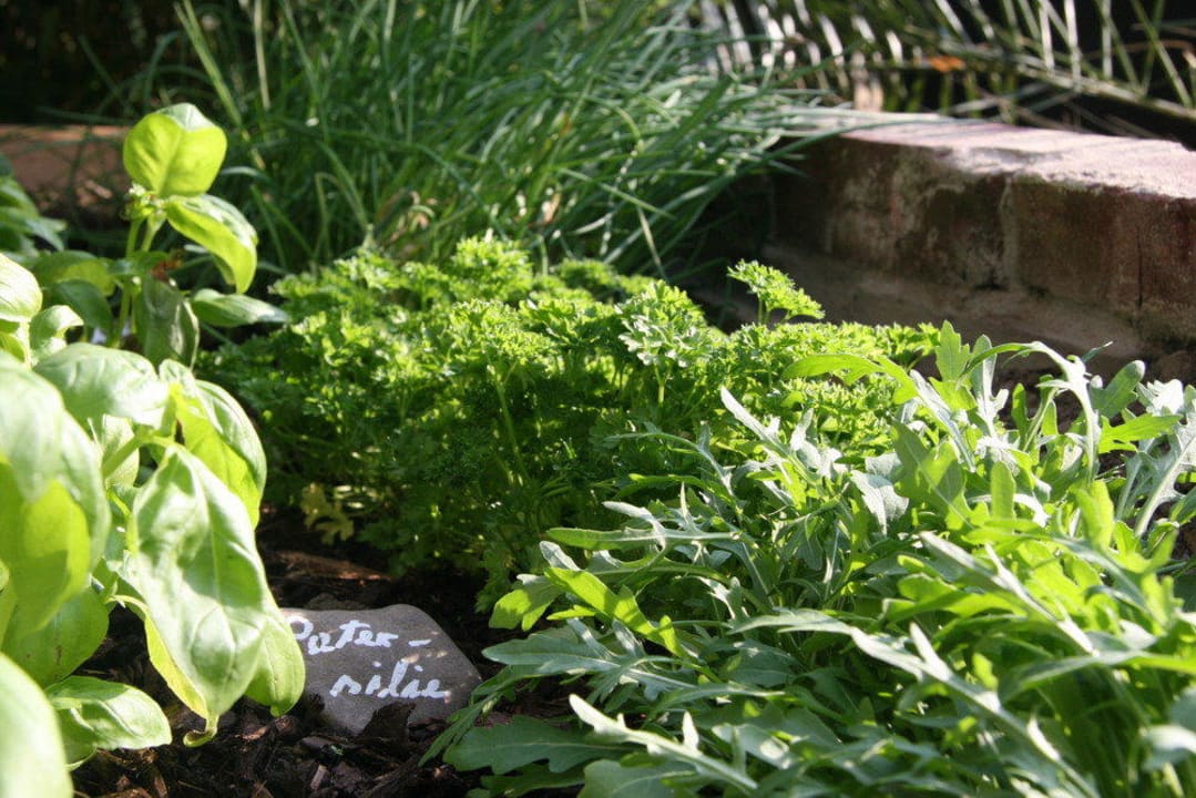 Frische Kräuter aus dem eigenen Garten Hotel Dampfmühle