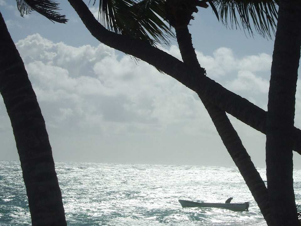 Meerblick  am Morgen Hotel Riu Bambu