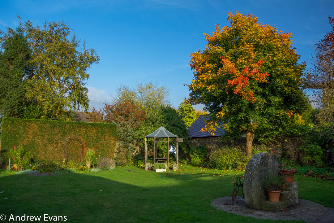 Gartenanlage Lea House Bed and Breakfast