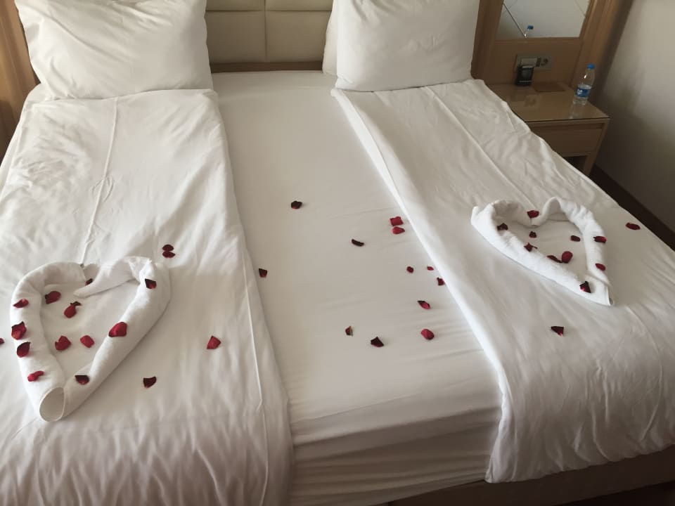 Zimmer Korumar Ephesus Beach & Spa Resort