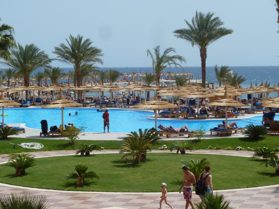 Pool Beach Albatros Resort
