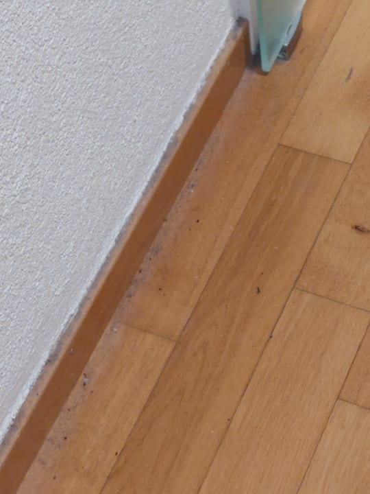Zimmer Gasthof Rebstock