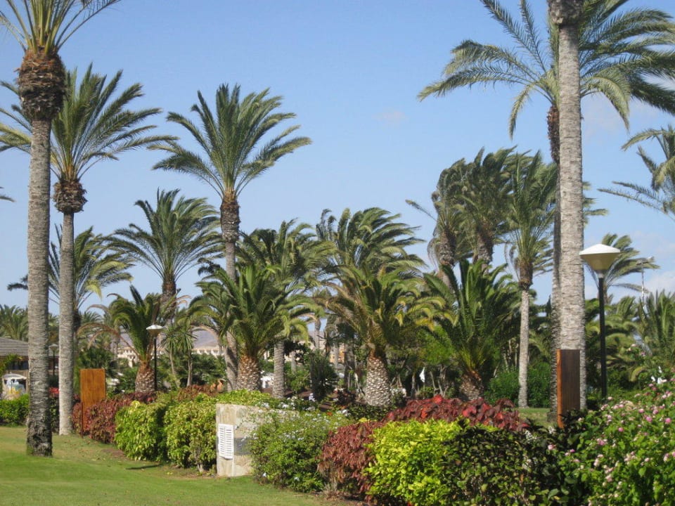 So schön SBH Hotel Costa Calma Palace