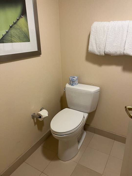 Zimmer Courtyard Page at Lake Powell