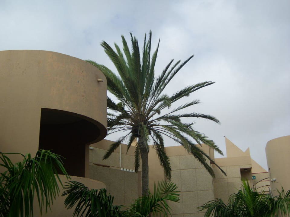 Hotelanlage SBH Hotel Taro Beach